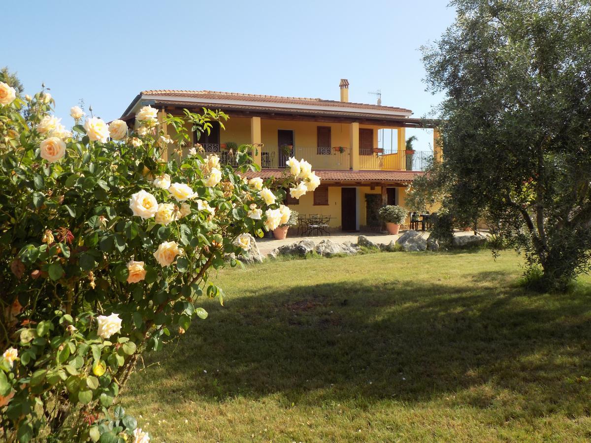 Villa Sorrentina 알게로 외부 사진