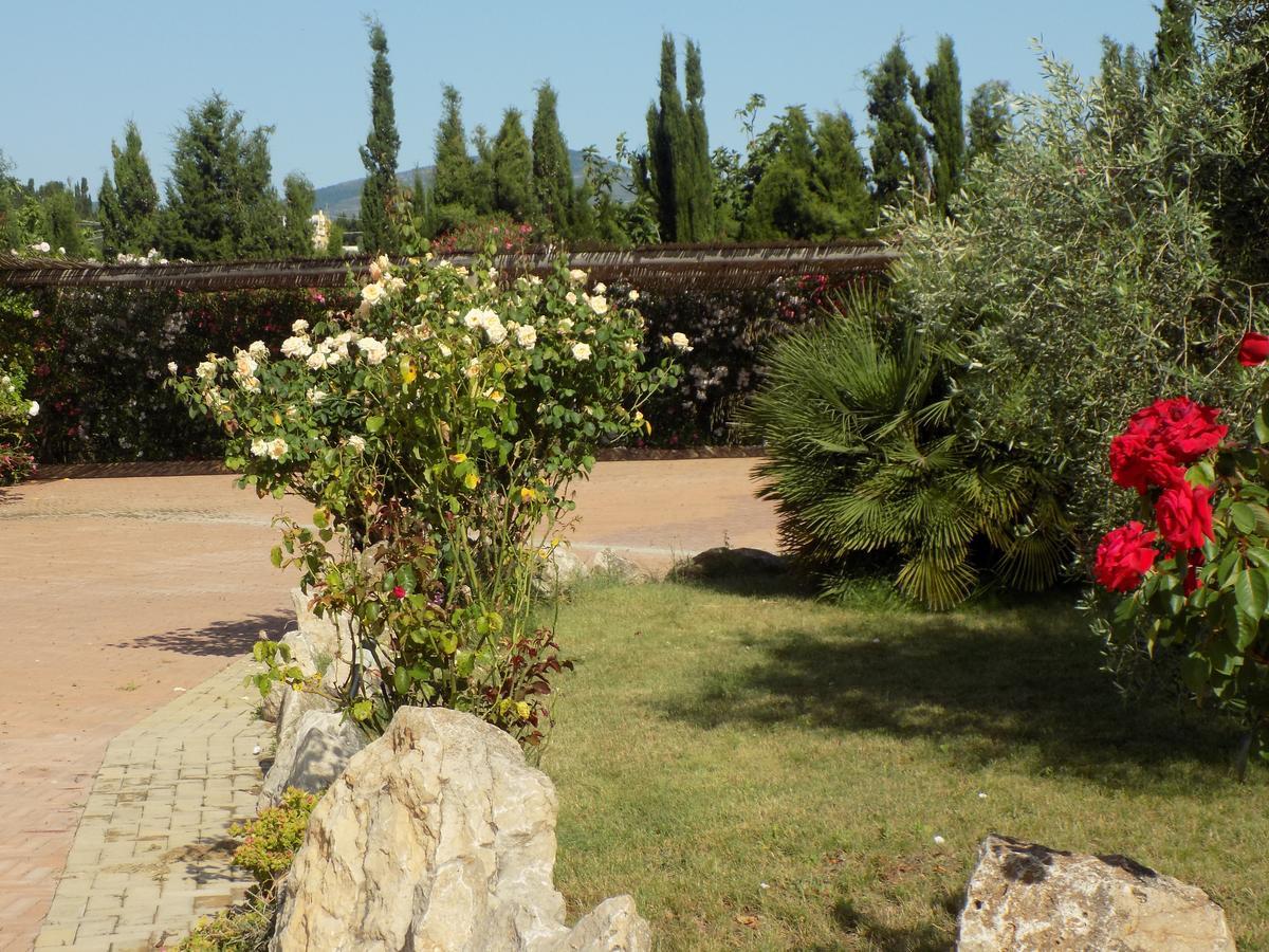 Villa Sorrentina 알게로 외부 사진
