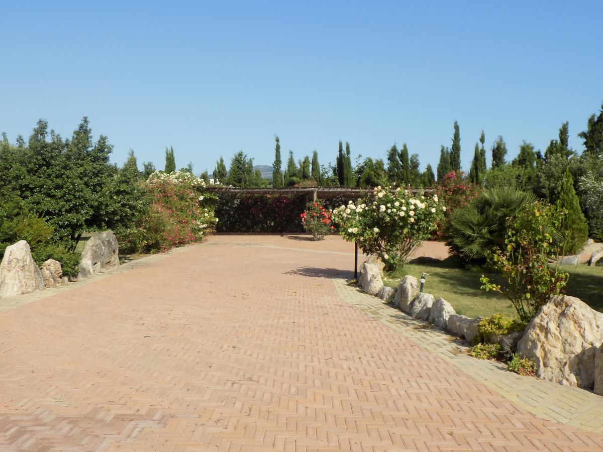 Villa Sorrentina 알게로 외부 사진